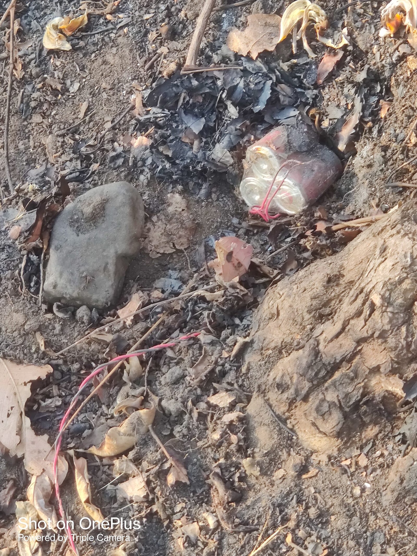 कोबरा 204 बटालियन की टीम ने एरिया डॉमिनेशन ड्यूटी के दौरान चार खतरनाक प्रेशर IED बरामद किए। इन IED को बीयर की बोतलों में भरकर मार्ग में लगाया गया था।