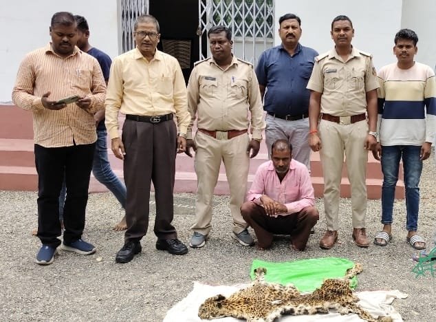 तेंदुए की खाल के साथ तस्कर गिरफ्तार वन विभाग की बड़ी कार्रवाई
