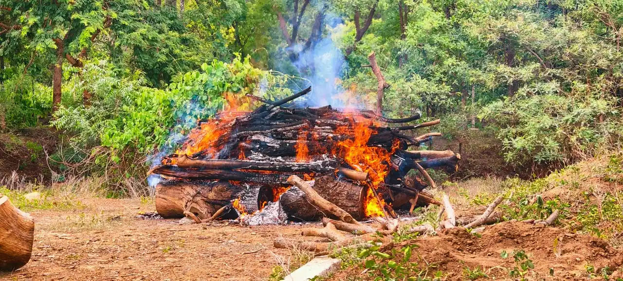 बालोद जिले में तीन दिनों के भीतर 03 हिरणों की अलग-अलग परिस्थितियों में मौत