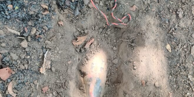 कोबरा 204 बटालियन की टीम ने एरिया डॉमिनेशन ड्यूटी के दौरान चार खतरनाक प्रेशर IED बरामद किए। इन IED को बीयर की बोतलों में भरकर मार्ग में लगाया गया था।