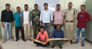 हाथी दांत के साथ 02 तस्कर गिरफ्तार,