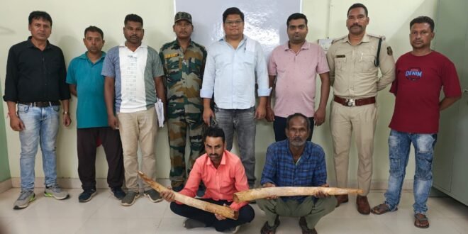 हाथी दांत के साथ 02 तस्कर गिरफ्तार,