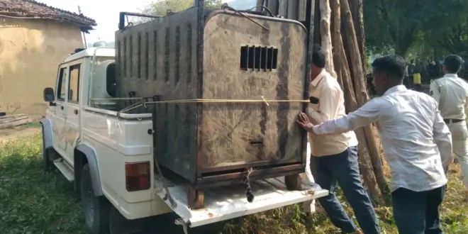 तेंदुआ पिंजरे में कैद, ग्रामीणों ने ली राहत की सांस