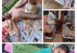 IED ब्लास्ट में 16 वर्षीय किशोरी समेत 3 ग्रामीण घायल