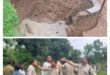 कोरबा, ग्राम बनवार, जटगा चौकी, छत्तीसगढ़ हादसा, कुआं धंसा, भारी बारिश हादसा, SDRF रेस्क्यू, मलबे में दबे लोग, पारिवारिक त्रासदी, छत्तीसगढ़ समाचार, ग्रामीण हादसा, प्राकृतिक आपदा, मोटर पंप हादसा, बारिश से मौत, दुर्घटना समाचार, कोरबा न्यूज, छत्तीसगढ़ ग्रामीण जीवन, त्रासदी, मौत की खबर, खेत में हादसा