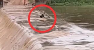 कांकेर, कोयलीबेड़ा, मेंढकी नदी, एनीकेट हादसा, नदी में बहा युवक, सगनु राम आंचला, मरकानार गांव, रेस्क्यू ऑपरेशन, स्थानीय पुलिस, ग्रामीणों की मदद, छत्तीसगढ़ समाचार, कांकेर पुलिस, बचाव अभियान, मानसून हादसा, नदी पार करते समय बहा, सुरक्षा चेतावनी, प्रशासन की अपील, जल सुरक्षा, बारिश का असर, छत्तीसगढ़ न्यूज़