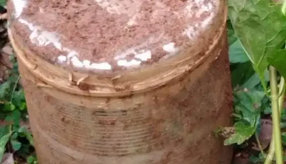 धमतरी, नगरी, चंदन बहारा मार्ग, नक्सलवाद, आईईडी बरामदगी, नक्सली साजिश, डीआरजी, बीडीएस, पुलिस अभियान, एरिया डॉमिनेशन, बम निरोधक दस्ते, छत्तीसगढ़ पुलिस, नक्सल विरोधी अभियान, सुरक्षा बल, एसपी सूरज सिंह परिहार, छत्तीसगढ़ समाचार, धमतरी पुलिस, नक्सल ऑपरेशन, आईईडी निष्क्रिय, नक्सली गतिविधि, जंगल सर्चिंग ऑपरेशन