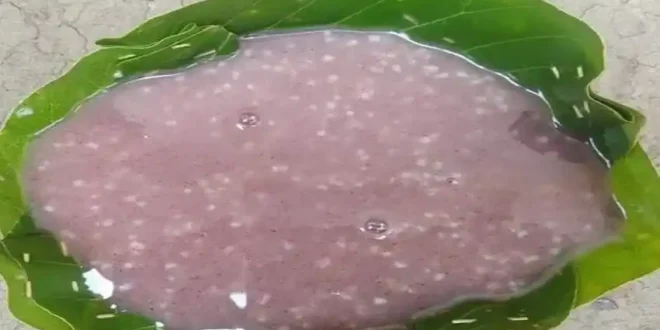 ठंडा मतलब मड़िया पेज!....देसी कोल्ड ड्रिंक का कमाल गर्मी का असली इलाज....बस्तर का मड़िया पेज #Bastar #DesiDrink #HealthyLiving #Chhattisgarh #TribalCulture