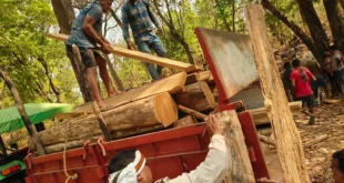 कांकेर में वन विभाग का बड़ा एक्शन...नक्सलियों का गढ़ रहा कंदाडी जंगल में कार्यवाही डेढ़ लाख की अवैध लकड़ी जब्त..02 आरोपी गिरफ्तार #Kanker #ForestAction #IllegalLogging #CGNews #Breaking