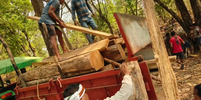 कांकेर में वन विभाग का बड़ा एक्शन...नक्सलियों का गढ़ रहा कंदाडी जंगल में कार्यवाही डेढ़ लाख की अवैध लकड़ी जब्त..02 आरोपी गिरफ्तार #Kanker #ForestAction #IllegalLogging #CGNews #Breaking