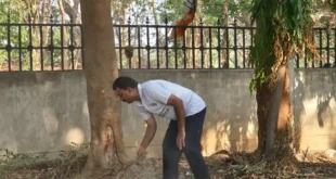उजड़ा पार्क फिर हुआ जिंदा!....जन सहयोग की पहल कचरे से खेल का मैदान....बदलाव की मिसाल #Kanker #CleanCity #SocialWork #Inspiration #Change
