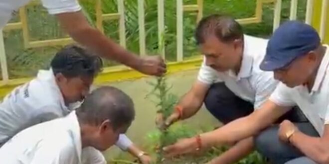 जहां होती है अंतिम विदाई... वहां अब खिलेगी हरियाली धर्म अलग... लेकिन प्रकृति एक....मुक्तिधाम और कब्रिस्तानों में हुआ पौधारोपण जन सहयोग ने शुरू की अनूठी पहल #JanSahyog #AjayPappuMotwani #PlantationDrive #TreePlantation #Environment #EnvironmentalProtection #SocialHarmony #ReligiousHarmony #UnityInDiversity #Nature #GreenKanker #